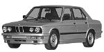 BMW E28 P0C6B Fault Code