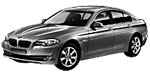 BMW F10 P0C6B Fault Code